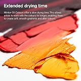 Winsor & Newton Winton Titanium White 200ml Oil Colour view 7