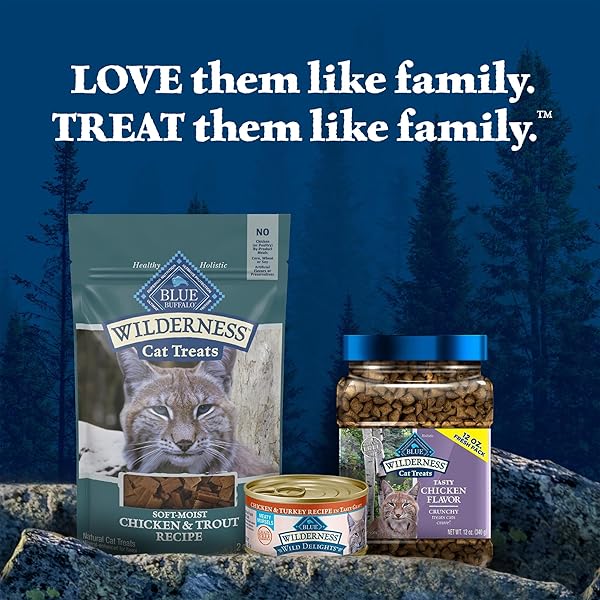 BLUE BUFFALO WILDERNESS SOFT CAT TREATS, MADE WITH NATURAL INGREDIENTS, CHICKEN & TROUT RECIPE, 2-OZ BAG