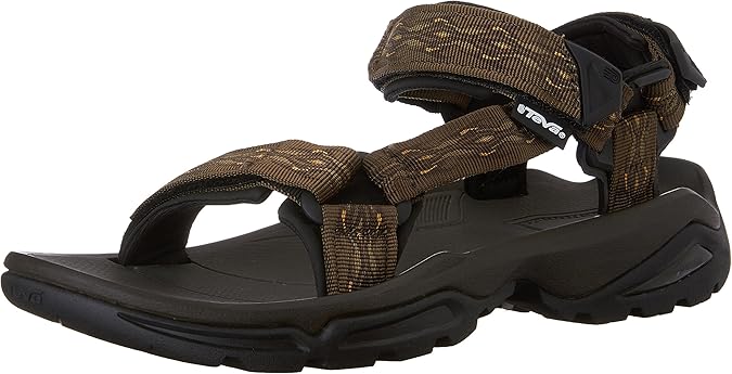 teva 6670