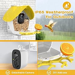 birdsnap® MON - Smart Bird Feeder with Camera, 2K