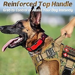 rabbitgoo Tactical Dog Harness for Large