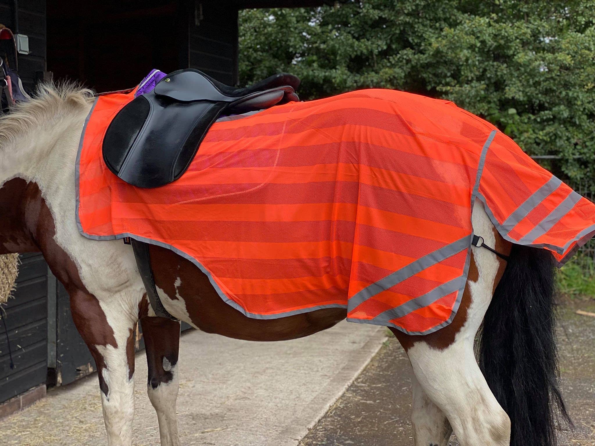 Equipride REFLEX HIND EXERCISE SHEET HI VIZ QUARTER SHEET SADDLE GAP FULL/COB/PONY NEON ORANGE (Cob)
