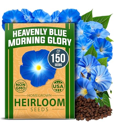 Amazon.com: Burpee Zeeland Hybrid Mix Morning Glory Seeds 75 seeds