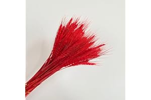 Wheat Stalks, 100Pcs Natural Ear of Wheat Grain Flowers for Home Dining Table Arrangement Flower Art Wedding Decoration