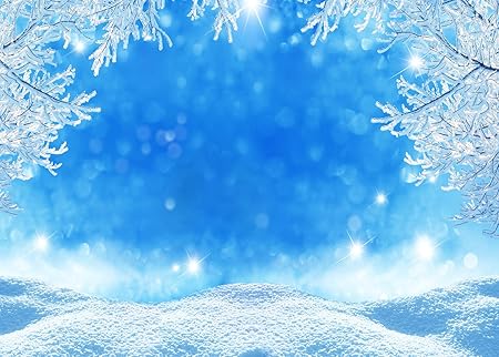 Amazon Gya ホワイトアナと雪の結晶 背景 写真 雪と雪の女王 冬の背景 クリスマス 個人用ポートレートバナー バックペーパー 背景布 通販