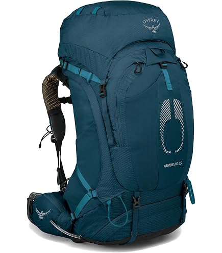 Osprey Aether Plus 70L Men's Backpacking Backpack, Axo Green, S/M : Sports & Outdoors