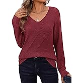 Zeagoo Womens Sweaters Fall 2026 Long Sleeve Knit Pullover V Neck Lightweight Crochet Sweater Tops Dressy Casual