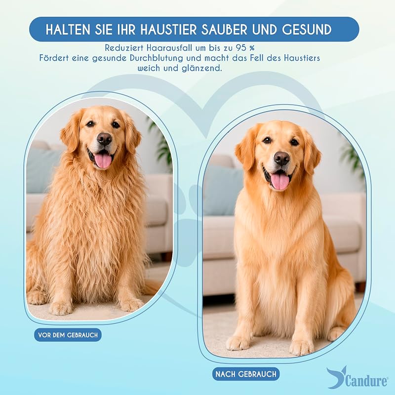 Hunde- und Katzenbürste, professionelle Haustierpflege, Zupfbürste, Haarentfernung, Unterwolle und Enthaarung, gummierte Edelstahlborsten (Himmelblaue Bürste)