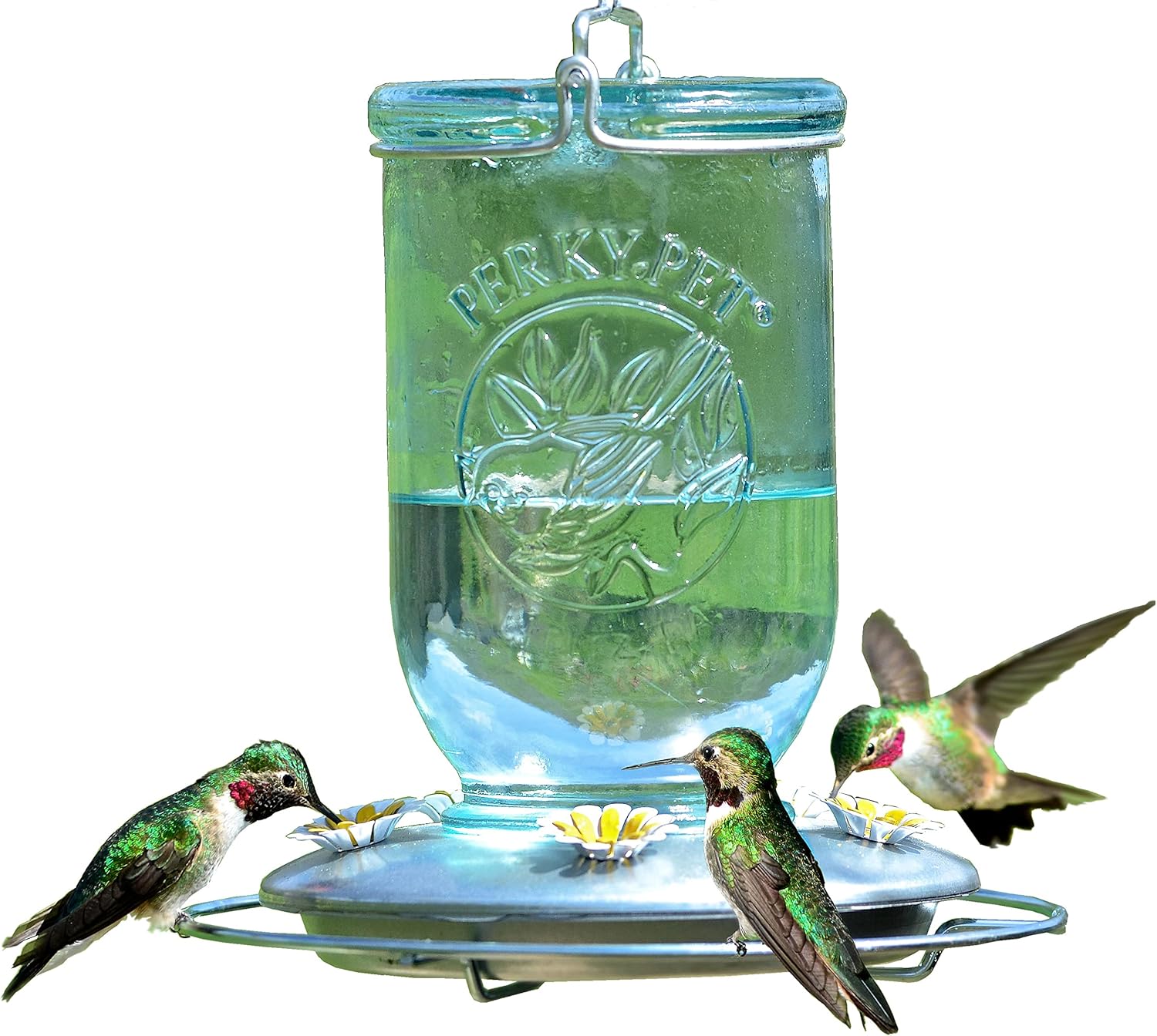Backyard Birding & Wildlife - Perky-Pet 785-1SR Mason Jar Vintage Glass Hummingbird Feeder - Outdoor Garden Décor - 32 Oz Nectar Capacity