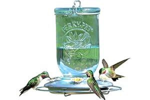 Perky-Pet 785-1SR Mason Jar Vintage Glass Hummingbird Feeder - Outdoor Garden Décor - 32 Oz Nectar Capacity