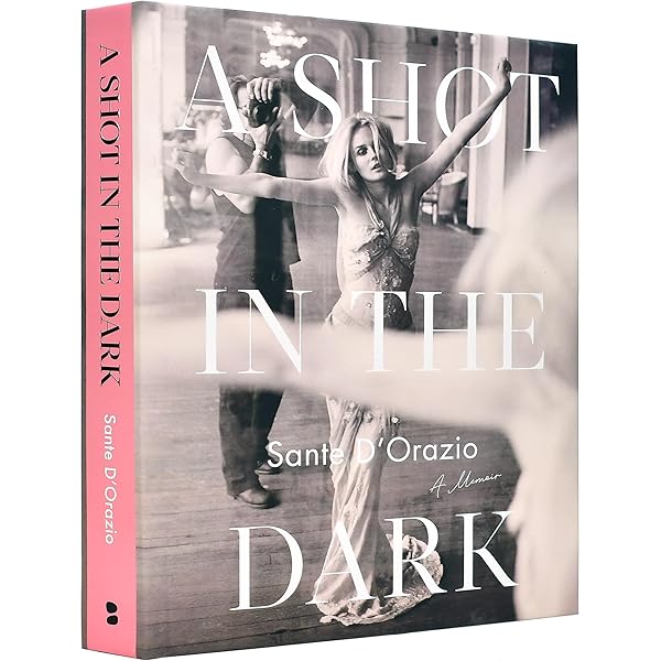 洋書 a private view Sante d'orazio Sante D'orazio: A Private View: Fahey, David: 9783888149115