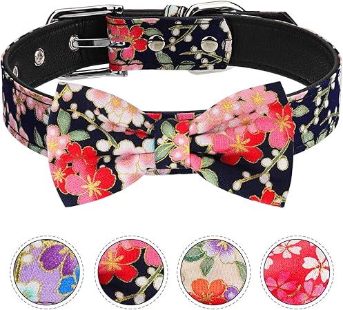 fancy dog collars for large dogs