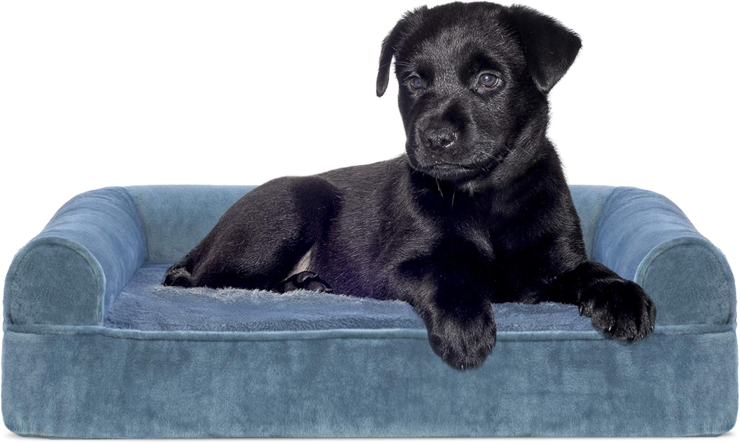 Orthopedic Sofa-Style Traditional Living Room Couch Dog Bed