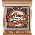 Ernie Ball Earthwood Custom Medium Phosphor Bronze Acoustic Guitar Strings, 12.5-56 Gauge (P02143)