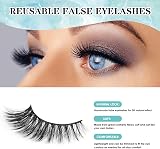 SISILILY Eyelashes Cluster Lashes 144 Clusters 10-16mm C/D Curl Mix view 3