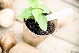 Gardman Grow it 6cm Round Fibre Pots Seedling Plant Seedling Cutting view 2