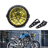 evomosa Universal motorcycle