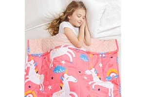 Insugar Weighted Blanket 5lbs, Fleece Heavy Blanket with Minky Dots, Ultra Soft Cozy Blanket, 3 Color Options, Great Throw fo