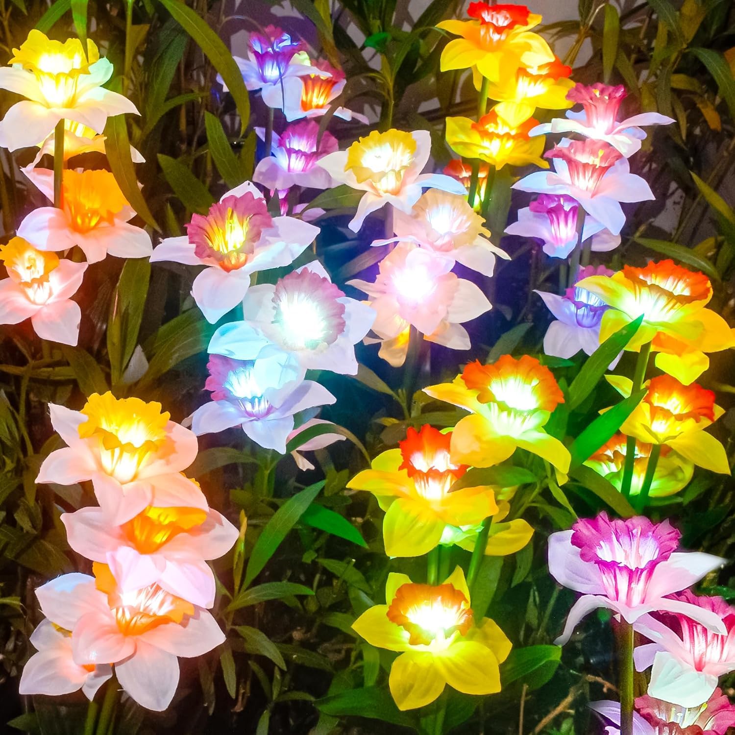 DooYard Solar Garden Lights, Color Changing Solar Daffodil Flower Lights, Upgraded Solar Panel, Outdoor Lights for Garden Decoration,Yard Decor and Gift for Mother (4 Pack)