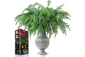 WIFER 12 Pcs Christmas Norfolk Pine Branches, Norfolk Pine Artificial Christmas Branches DIY Crafts Faux Christmas Norfolk Pine Branches for Xmas Indoor Outdoor Home Decor (25 Inches)