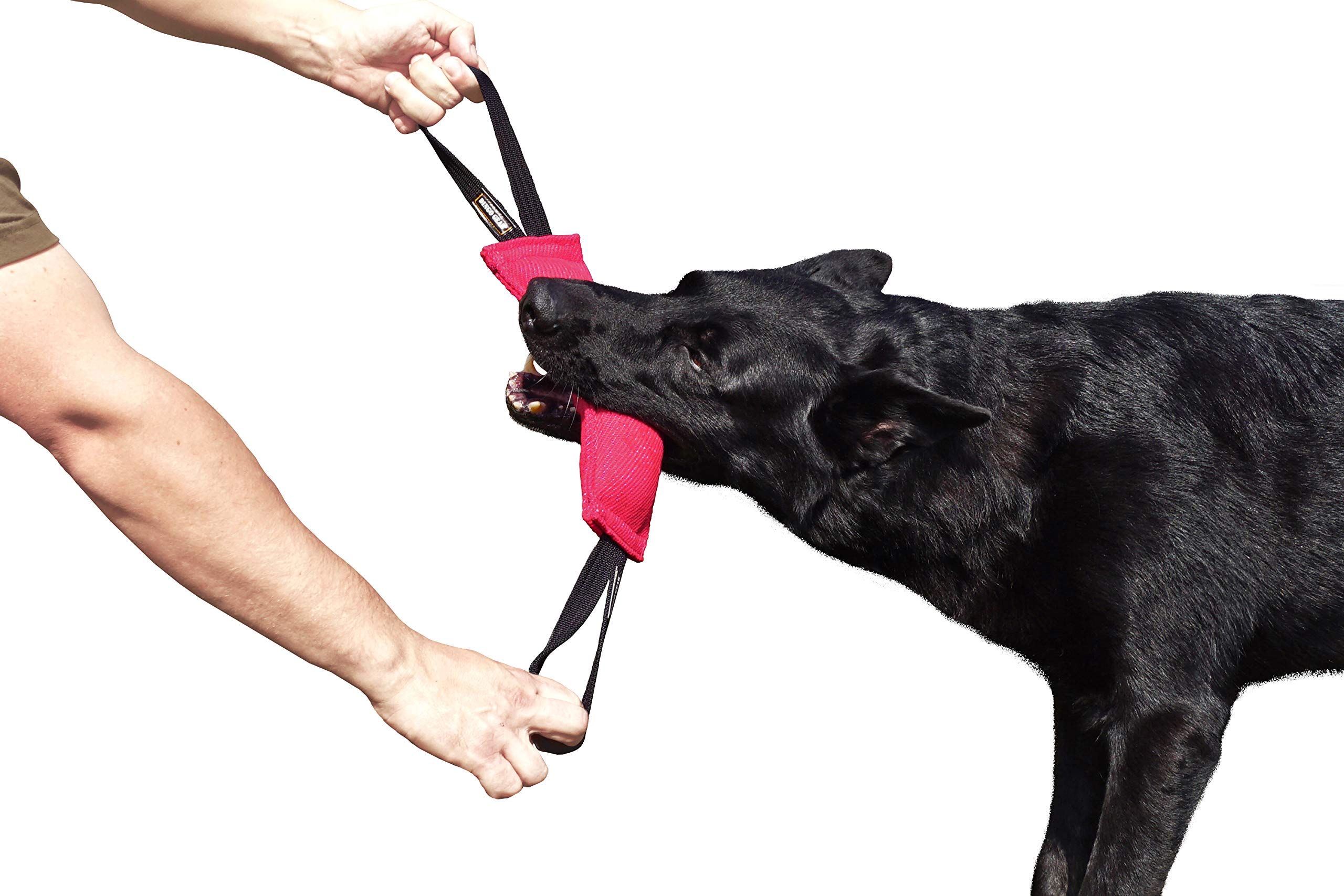 Dingo Gear S00311 Cotton Nylon Teething Sausage for Dog Training IGP IPO Obiedence Schutzhund Dog Sports 28 x 7 cm 2 Handles Pink