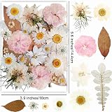 YoothBro White Dried Pressed Flowers for Resin Molds DIY Art Crafts view 2