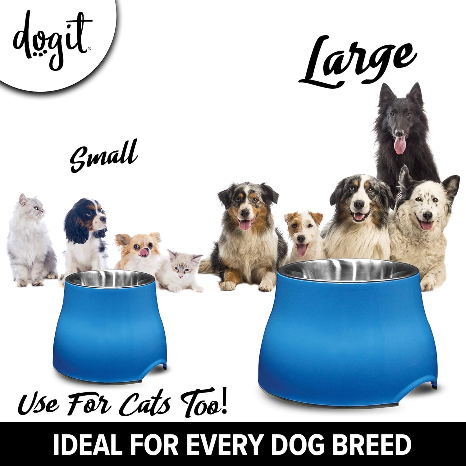 Dogit Elevated Dog Bowl, Stainless Steel Dog Food and Water Bowl for Small Dogs, Blue, 73743: Home & Kitchen