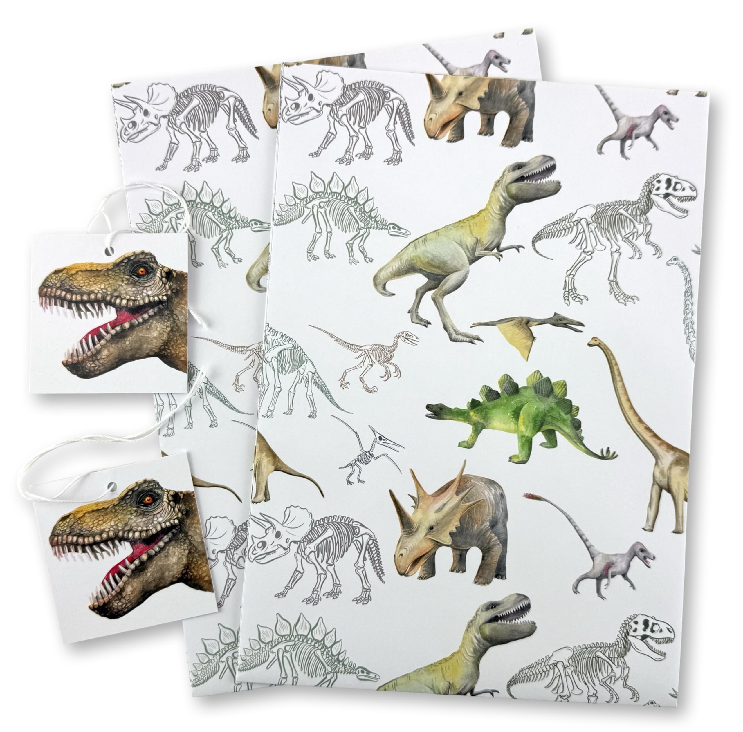 Dinosaur Eco Printed Recyclable Gift Wrapping Paper with Tags, 2 Sheets and 2 Tags - Birthdays - Christmas - Arts and Crafts Projects -School