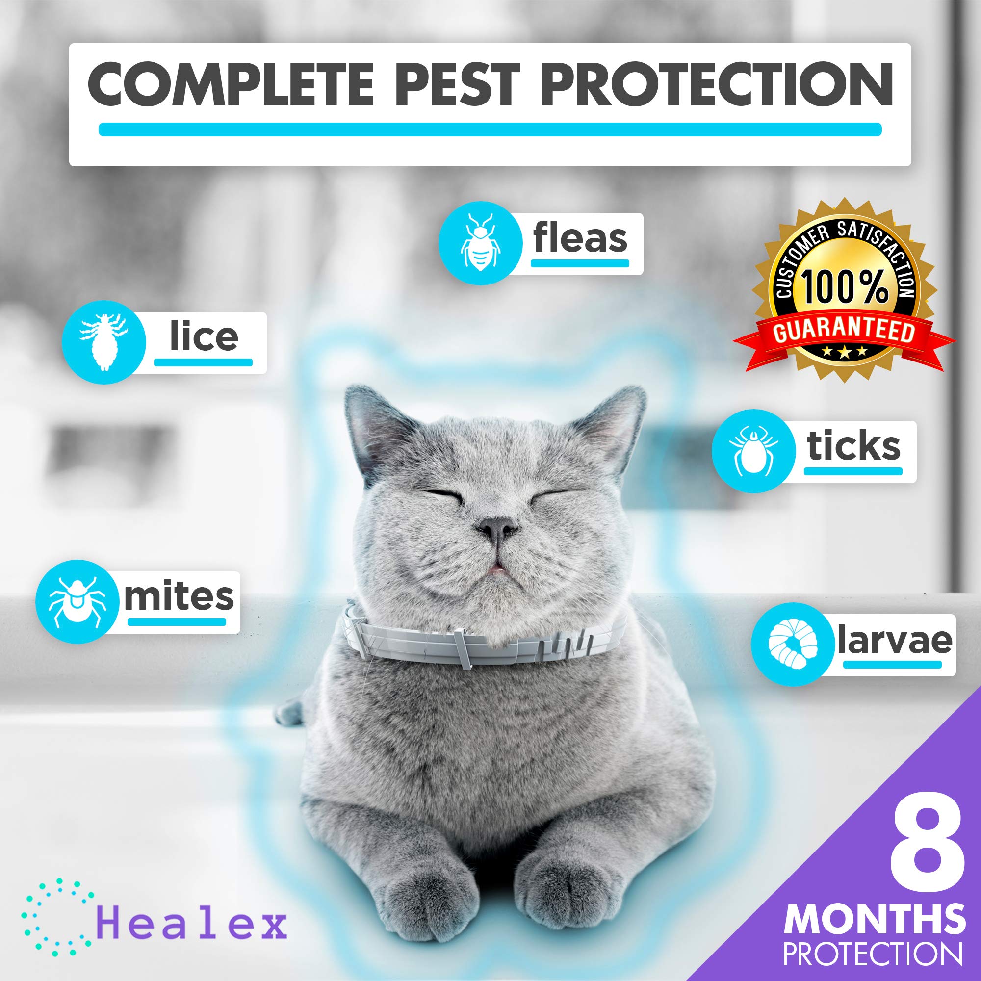 Healex Cat Flea Collar for Flea and Tick Treatment and Prevention 100