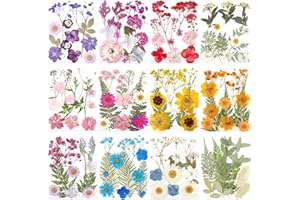 AHTONG 12 Packs Real Dried Flowers for Crafts, Birth Month Flower, Bulk Natural Pressed Flowers for Resin, Scrapbooking, Bookmarks, Glass Frames, Cake Decor with Tweezers - Muti Color