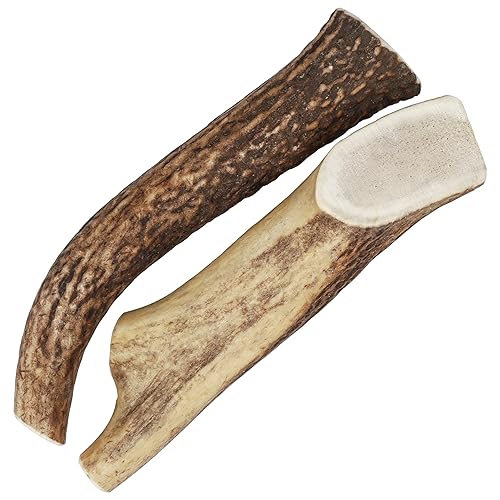 Mighty Paw Split Elk Antlers for Dogs (Sourced in The USA)