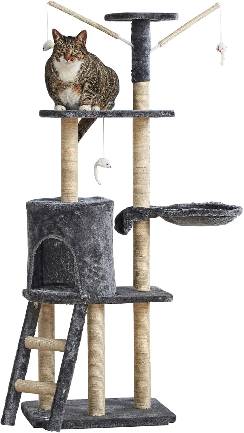 dog's breath smells like fish reddit