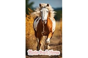 Horsepower: Speed and Strength: Speedy Gallops and Powerful Horses in Action, Showcasing Their Might