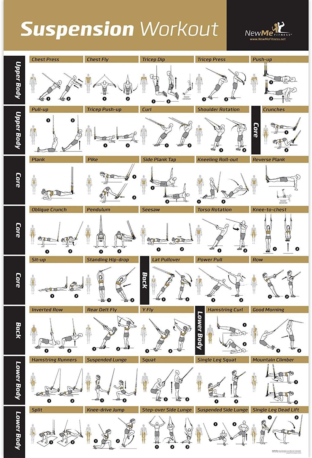 Laminated Suspension Exercise Poster - Strength Training Chart - Build Muscle, Tone & Tighten - Home Gym Resistance Workout Routine - Fitness Guide - Bodyweight Resistance