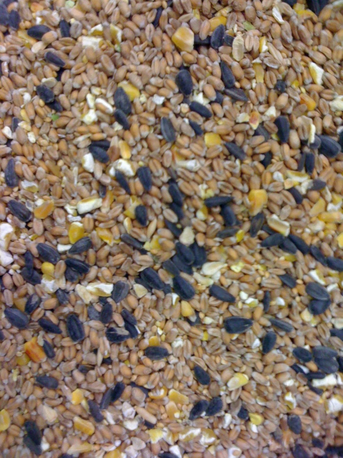 25KG MALTBYS STORES WILD BIRD FOOD Amazon.co.uk Pet Supplies