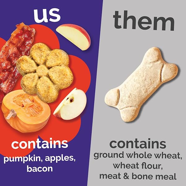 FRUITABLES BAKED DOG TREATS, PUMPKIN SNACKS FOR DOGS, LOW CALORIE & DELICIOUS, NO WHEAT, CORN OR SOY, HEALTHY PUPPY TRAINING TREATS, MADE IN THE USA, APPLE AND CRISPY BACON FLAVOR, 7OZ