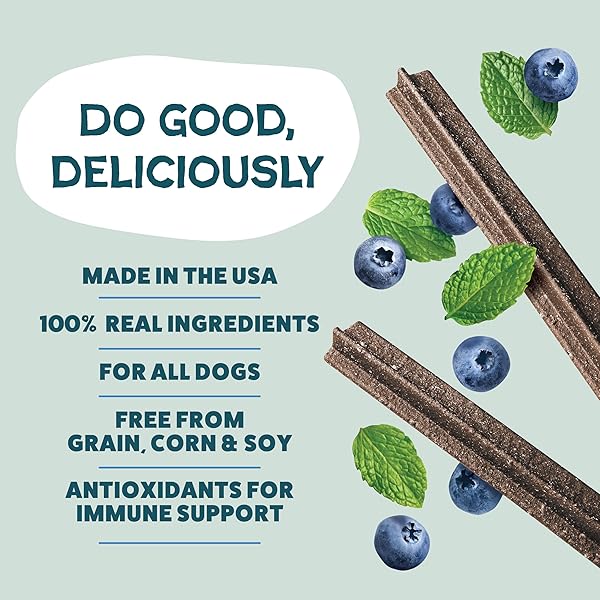 SHAMELESS PETS DENTAL TREATS FOR DOGS, THE TOOTH BERRY – HEALTHY DENTAL STICKS WITH IMMUNE SUPPORT FOR TEETH CLEANING & FRESH BREATH – FREE FROM GRAIN, CORN & SOY