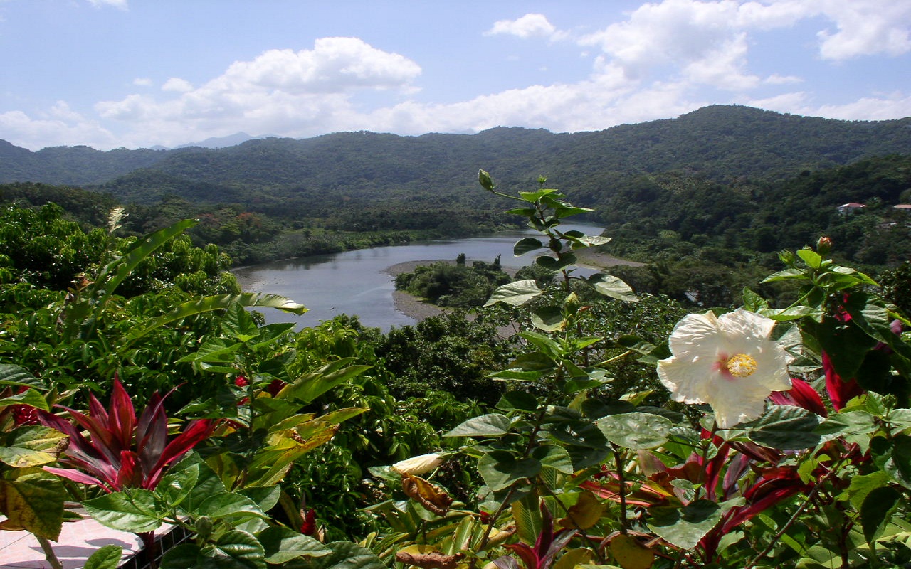 JAMAICA LAND WE LOVE:Amazon.com:Appstore for Android