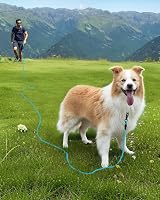 Joytale 5 10 15 20m Long Dog Training Lead with Padded Handle Blue 10mm view 4