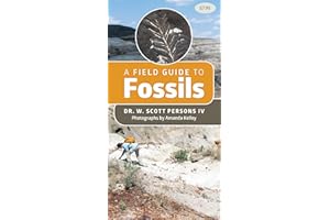 A Field Guide to Fossils