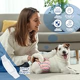 Pet Soft Pet Soft Dog Diaper Liners 100 Count Blue Bone M Nappy Booster Pads view 6