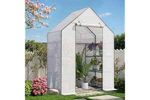 SANNWSG Portable Greenhouse for Outdoor, Small Greenhouses with Durable PE Cover, Walk in Greenhouse with Shelves Stands, White