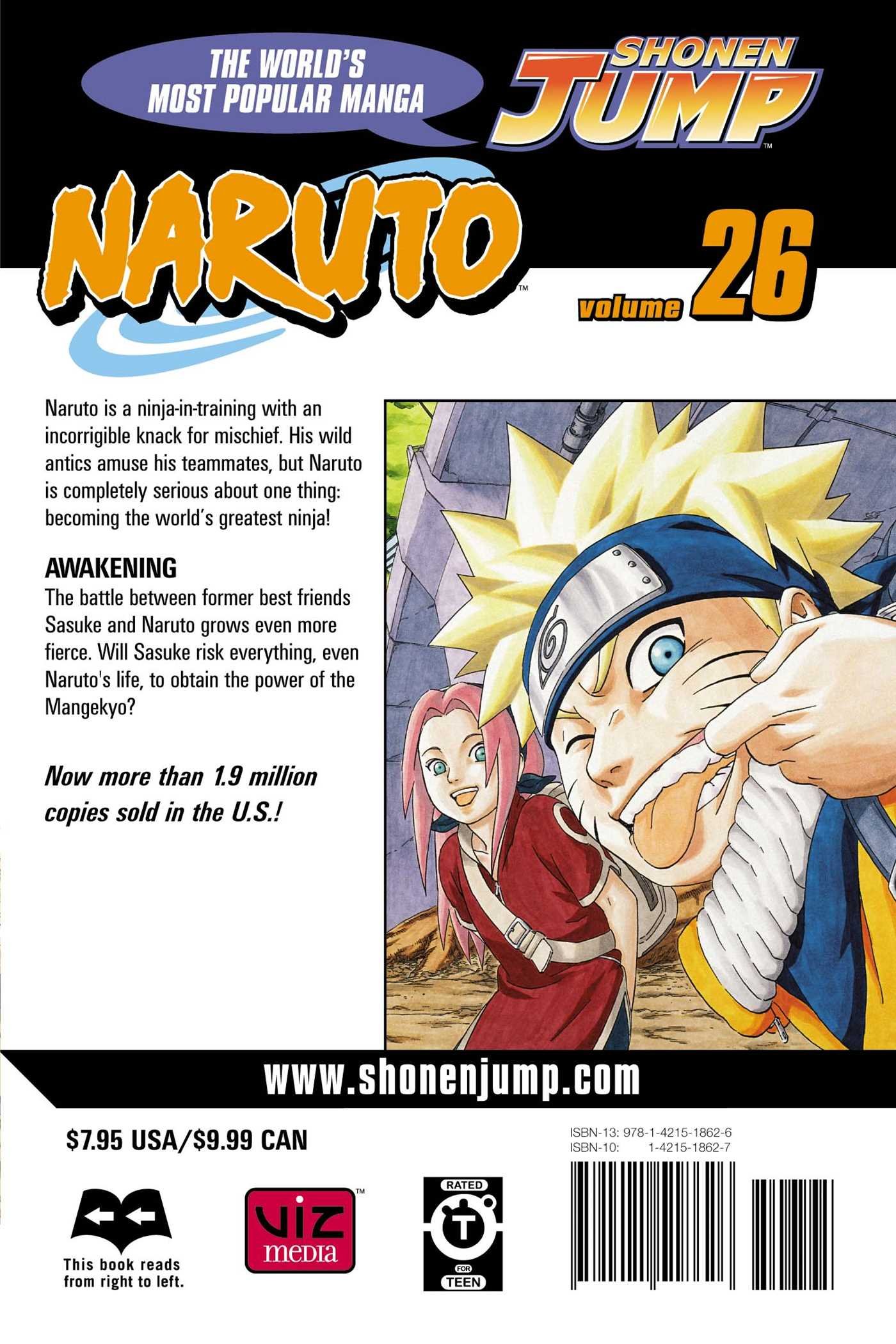 Naruto Vol. 10 - Un Gran Ninja