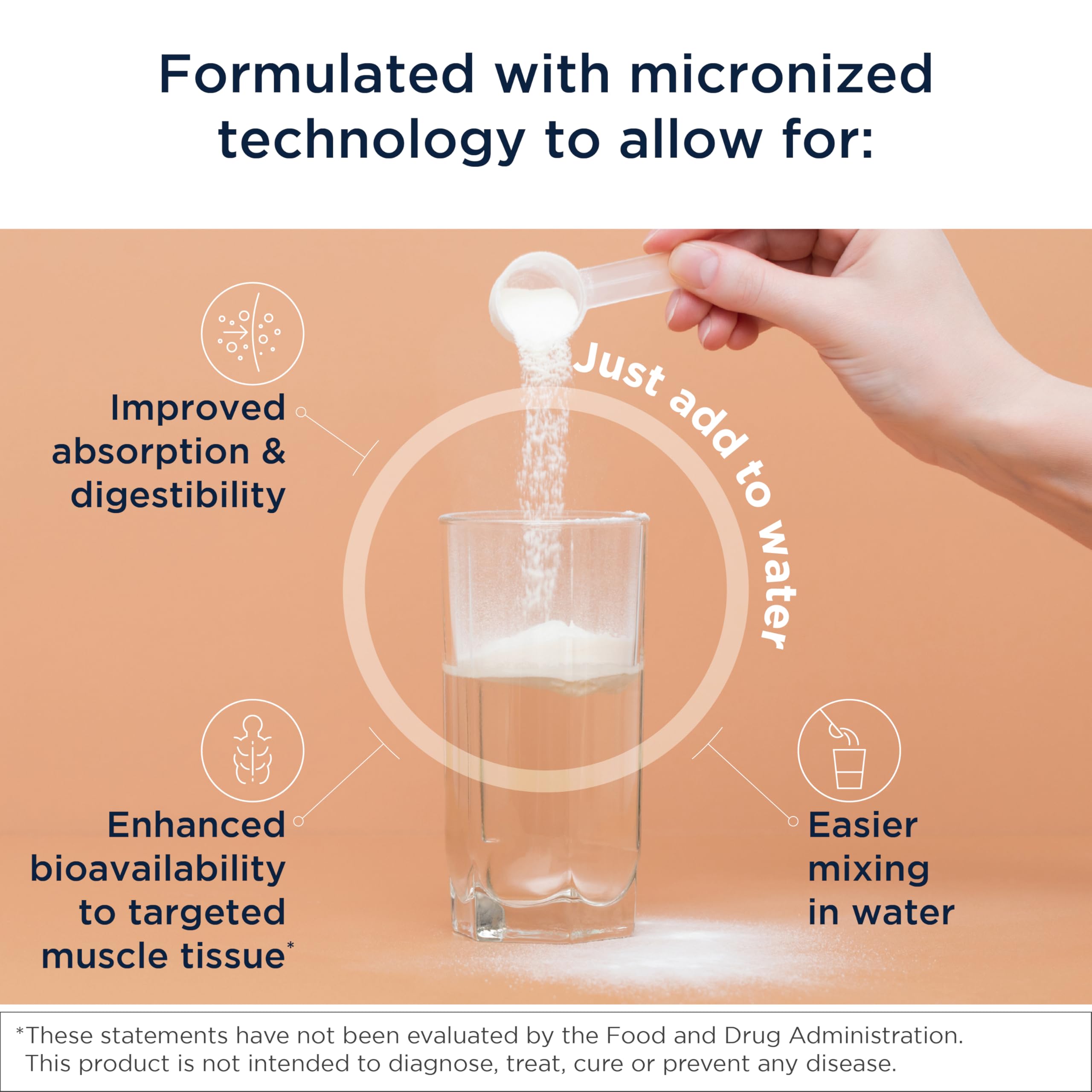 Designs for Health Micronized Creatine Monohydrate Unflavored Powder, 90 Servings, 5g per Serving – for Women & Men to Support Muscle Strength and Brain Health