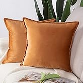 MADIZZ Set of 2 Super Soft Velvet Decorative Throw Pillow Covers 20x20 inch Orange Square with Fringe Luxury Style Cushion Case Pillow Shell for Sofa Bedroom