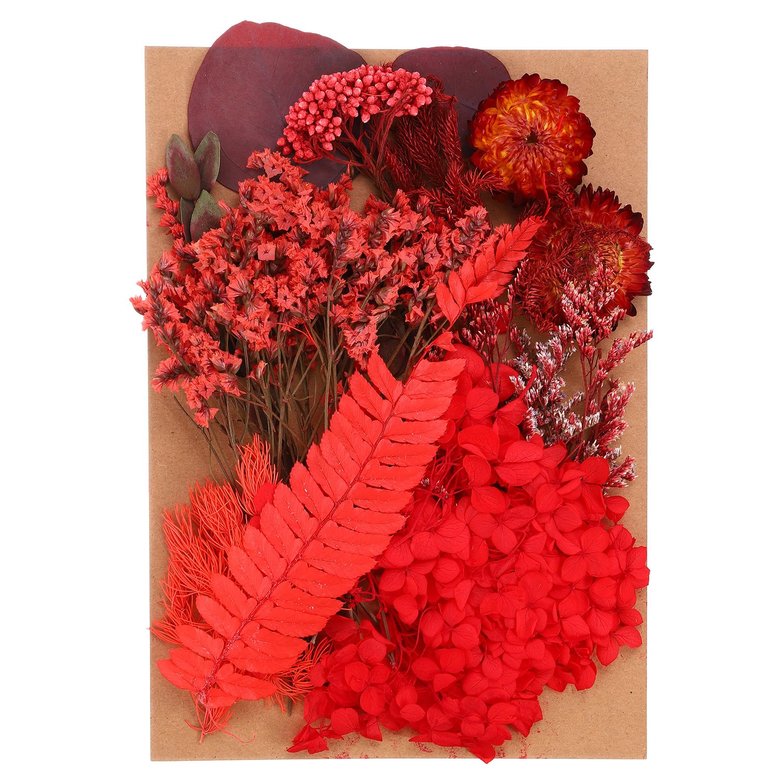 PATIKIL Pressed Flowers for Craft, Bulk Dried Flowers Natural Pressed Flowers Leaves for Resin Soap Candle Scrapbooking DIY Gift Papermaking, Red Style