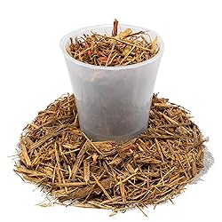 Premium Eucalyptus Mulch by Gardenera - Beautify