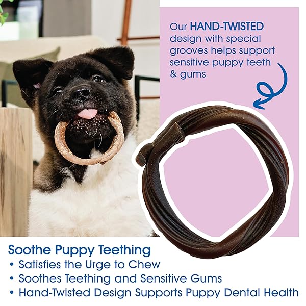 N-BONE PUPPY TEETHING RINGS TASTE OF TEXAS BURNT ENDS FLAVOR 3 COUNT