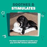 Webbox Layla the Cuddle Lamb Soft Blanket Toy for Dogs Puppies Crinkle Squeaker view 2