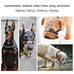 Pawaboo Dog Halter Pet Safe Control - Nylon